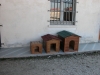 dscn3891
