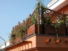 dscn0158